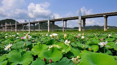 打造绿色发展的水利样本――定点帮扶助推湖北郧阳乡村振兴纪实