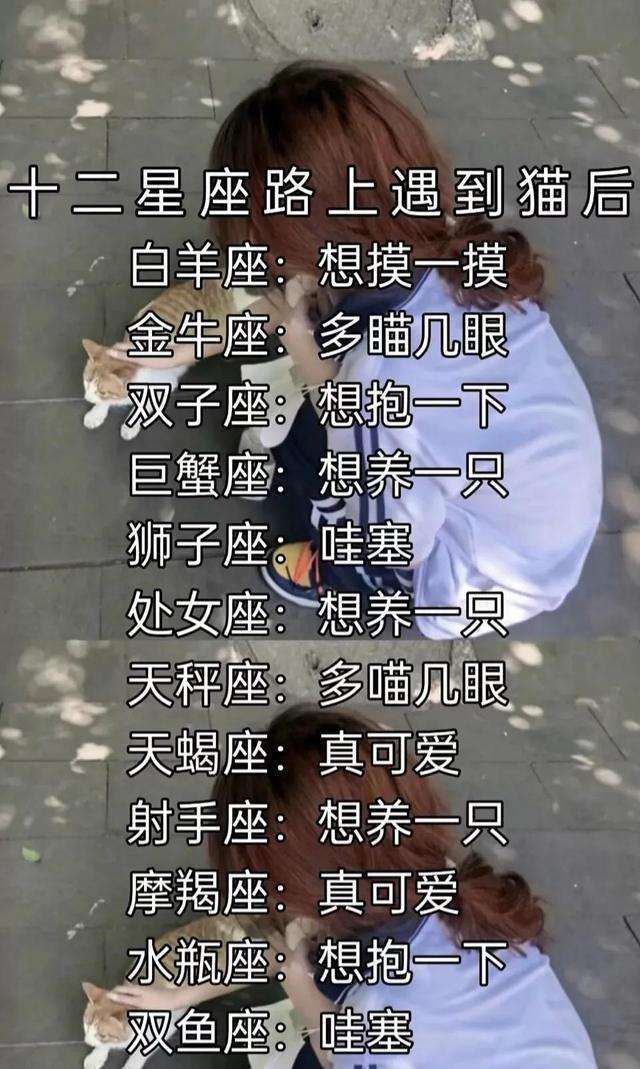 最招人喜欢的星座(十二星座最招人喜欢的星座)