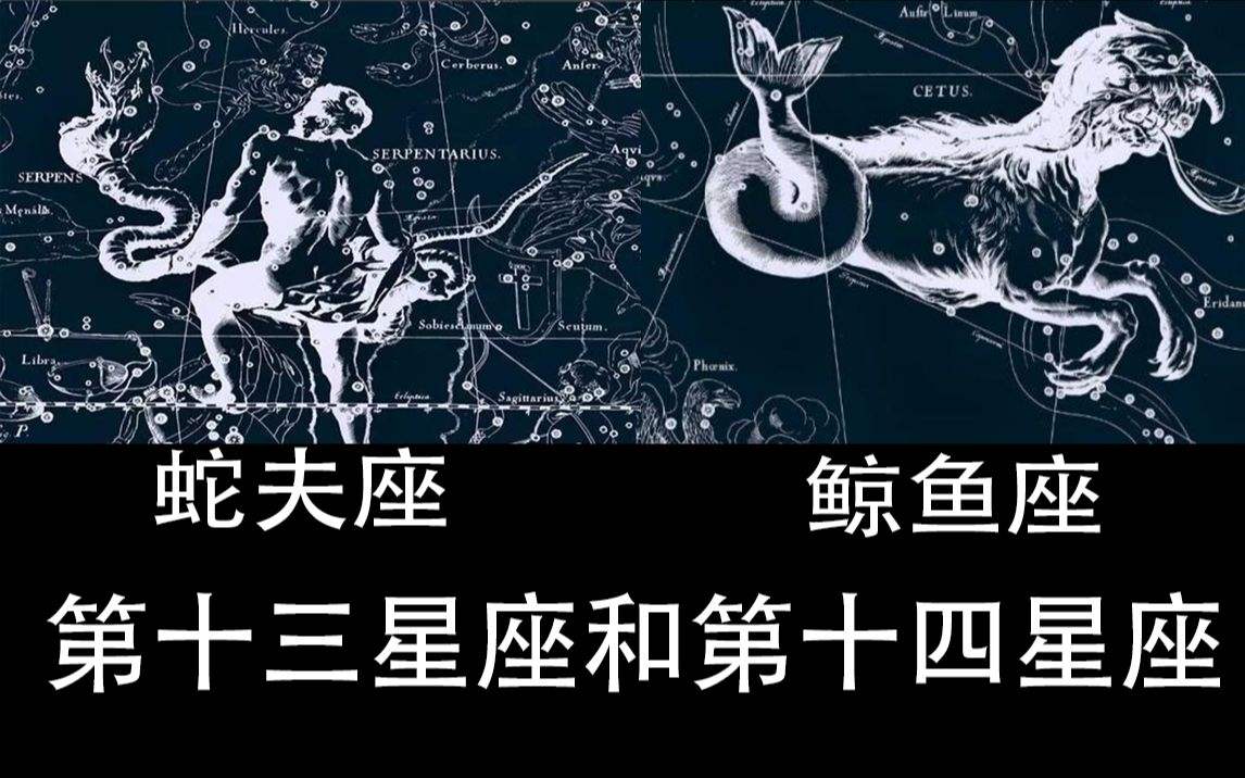 第十四个星座(第十四个星座日期)