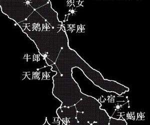 牛郎属于什么星座(牛郎星座属于什么星座?)