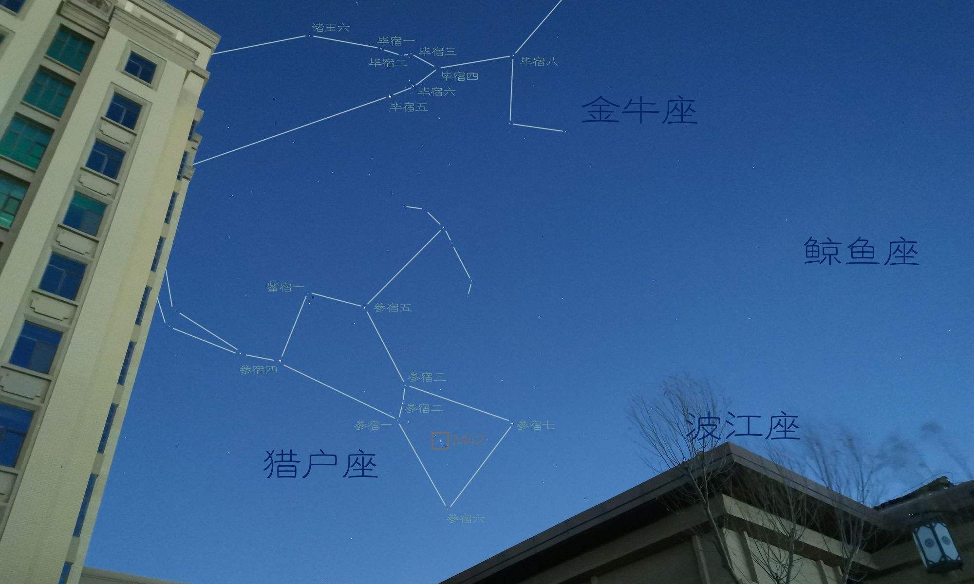 冬天的星座(冬天的星座都是有什么)