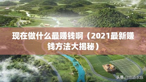 现在做什么最赚钱啊（2021最新赚钱方法大揭秘）