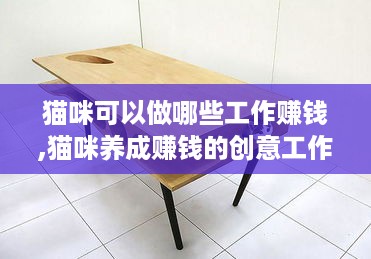 猫咪可以做哪些工作赚钱,猫咪养成赚钱的创意工作有哪些