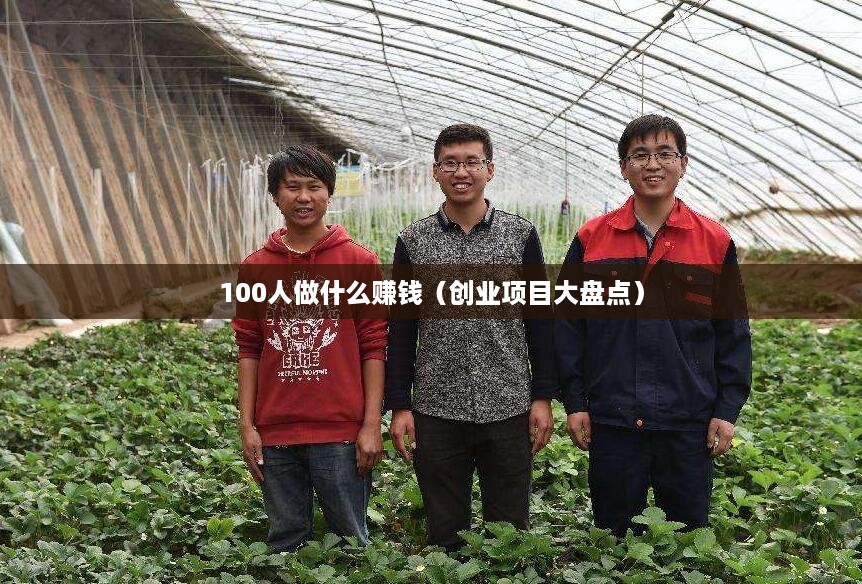 100人做什么赚钱（创业项目大盘点）