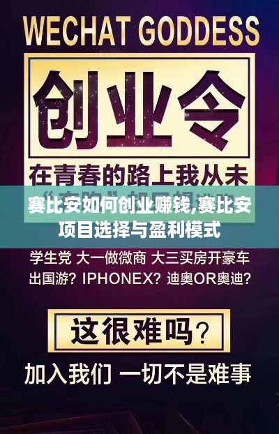 赛比安如何创业赚钱,赛比安项目选择与盈利模式