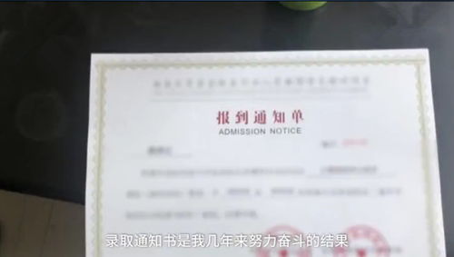 出社会能做什么工作赚钱？