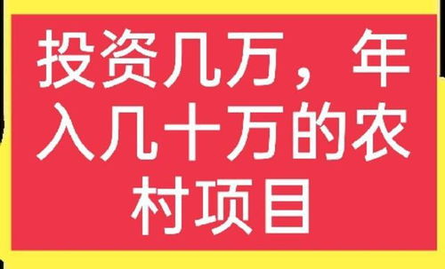 农村社区做什么赚钱快点？