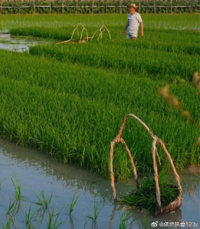 在田埂上去做什么赚钱？