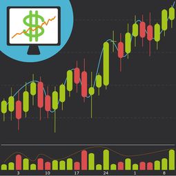 特色创业加盟项目，小投资大回报的财富密码