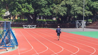 青岛小学生体适能加盟项目——激发孩子健康成长新动力